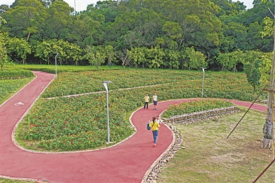 best365官网登录_365手机版游戏中心官网_Bet体育365提款要多久：精准发力 精致美丽 