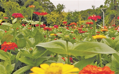 best365官网登录_365手机版游戏中心官网_Bet体育365提款要多久：精准发力 精致美丽 